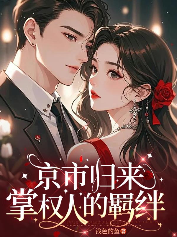 京市归来掌权人的羁绊
